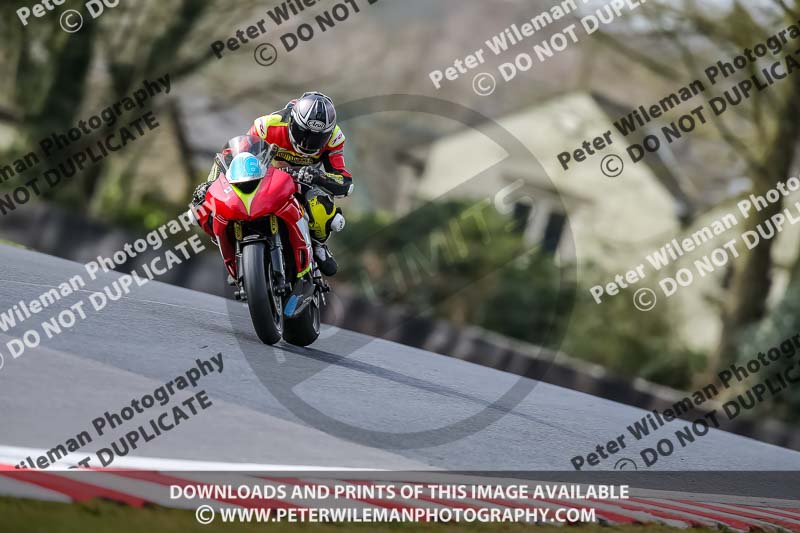 Oulton Park 21st March 2020;PJ Motorsport Photography 2020;anglesey;brands hatch;cadwell park;croft;donington park;enduro digital images;event digital images;eventdigitalimages;mallory;no limits;oulton park;peter wileman photography;racing digital images;silverstone;snetterton;trackday digital images;trackday photos;vmcc banbury run;welsh 2 day enduro